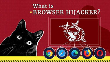 Browser hijacker in plain terms