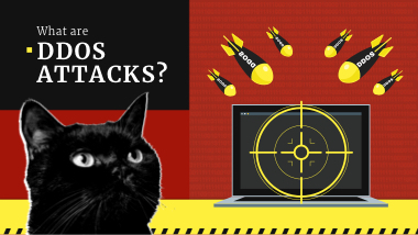 What is a DDoS?