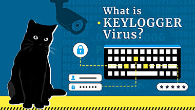 Keystroke Logging
