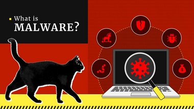 What Is Malware?