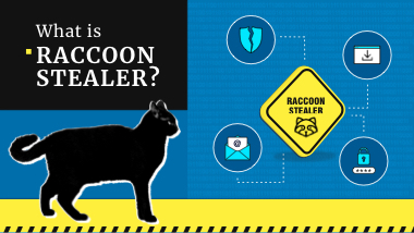 Raccoon Stealer