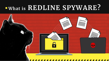 What is RedLine Stealer?