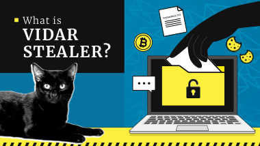 What is Vidar Stealer?