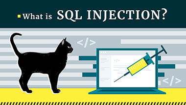 SQL Injection (SQLi)