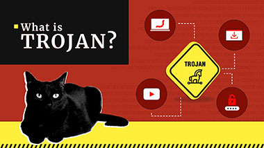 What Is Trojan Malware?