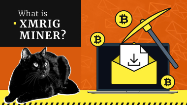 XMRig Malware Threat Profile