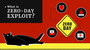 What is zero-day exploit?
